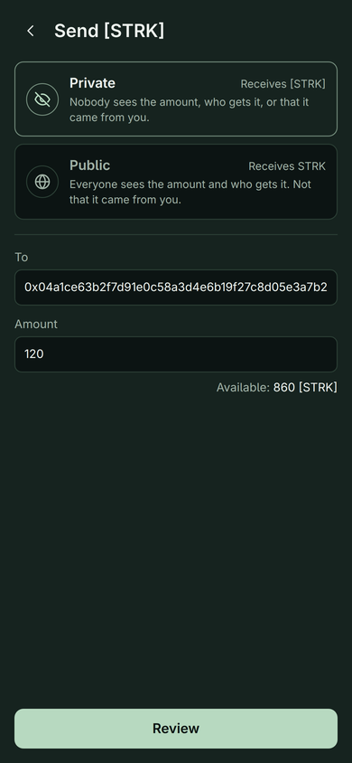 Outis on an iPhone, sending 120 STRK with the Private route chosen: Nobody sees the amount, who gets it, or that it came from you.
